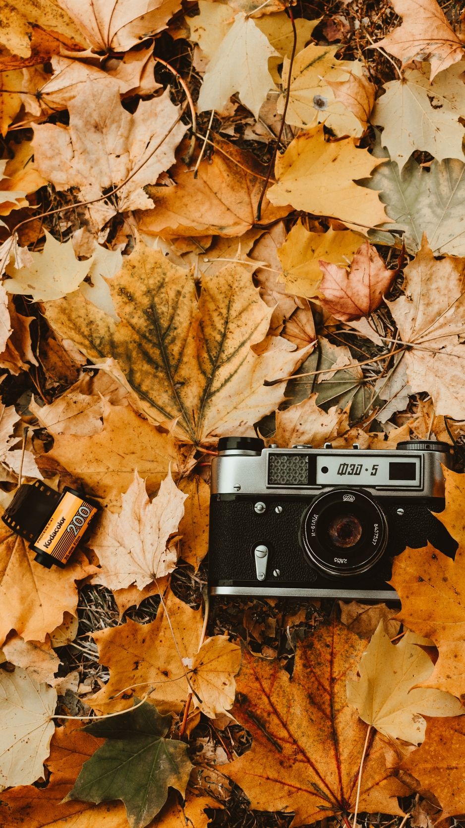 Cute Vintage Fall Wallpapers