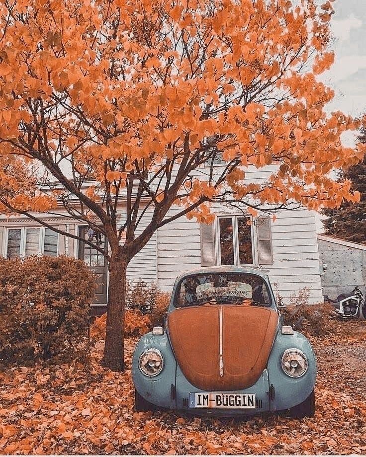 Cute Vintage Fall Wallpapers