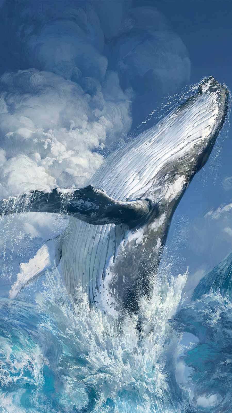 Cute Whale Iphone Wallpapers