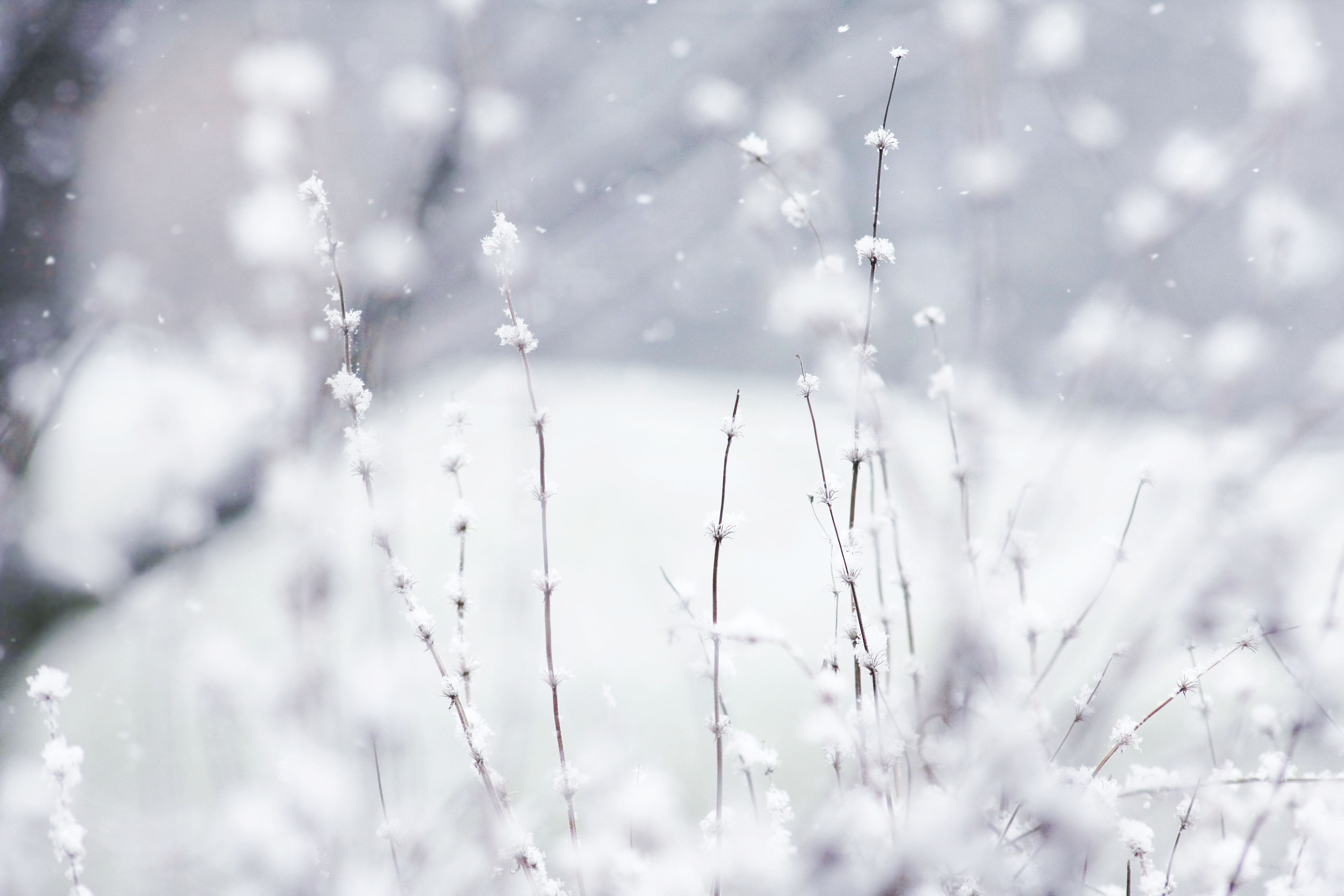 Cute Winter Snow Wallpapers