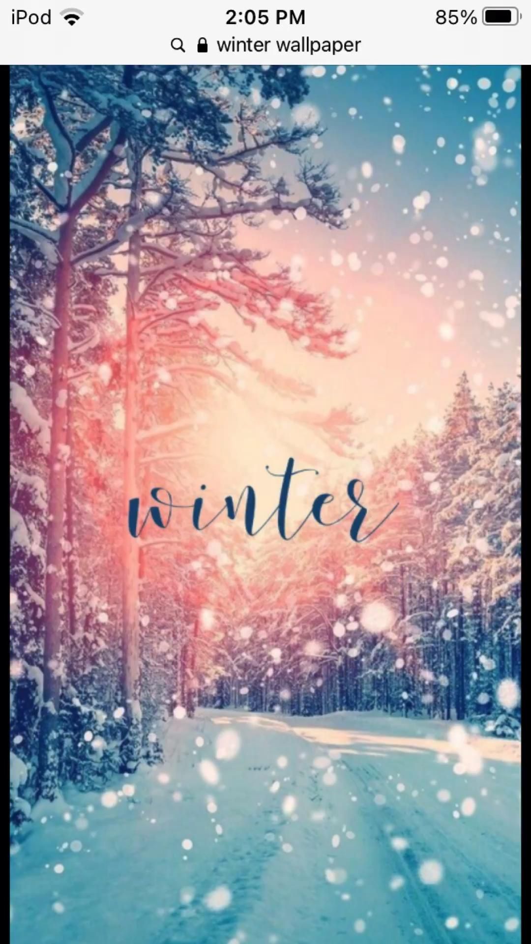 Cute Winter  Wallpapers