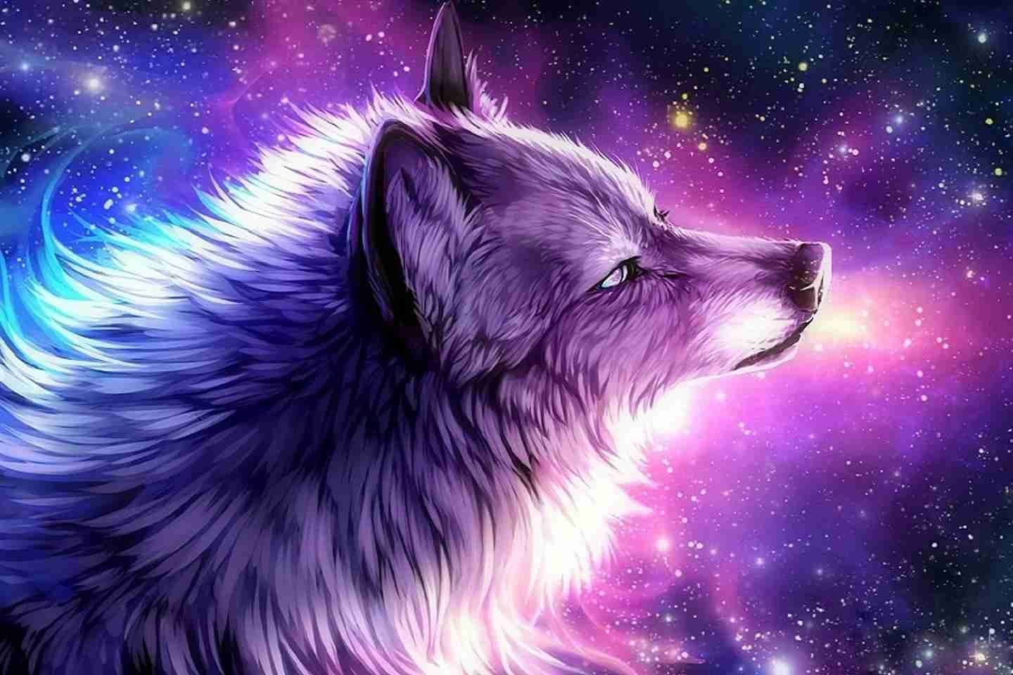 Cute WolfWallpapers