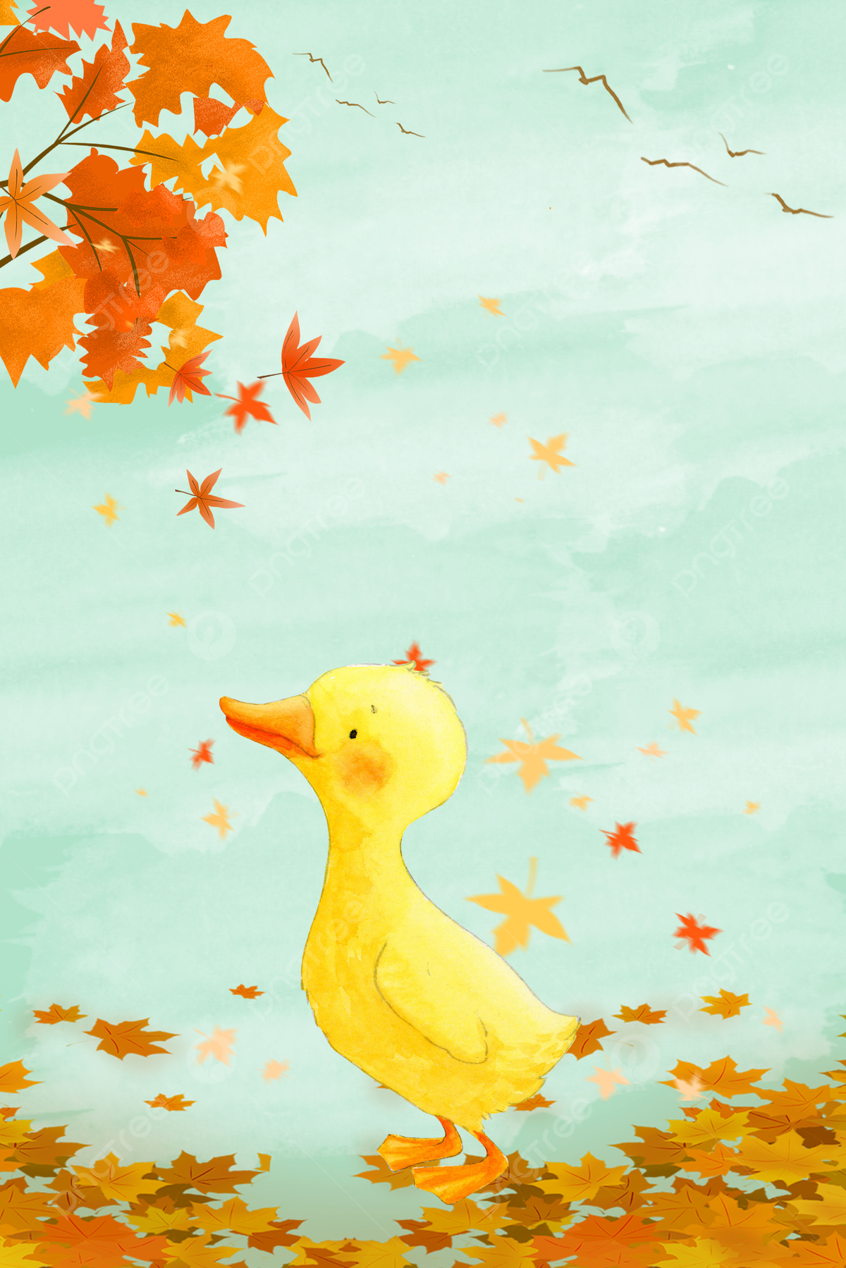 Cute Yellow Ducks Wallpapers