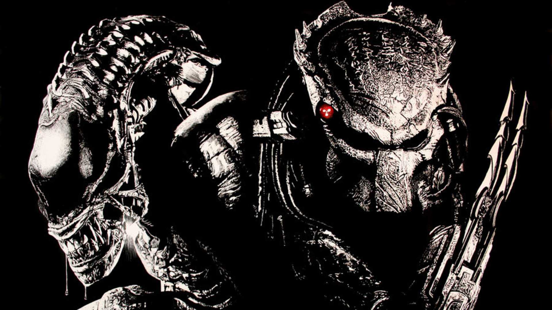 Cool Alien Vs PredatorWallpapers