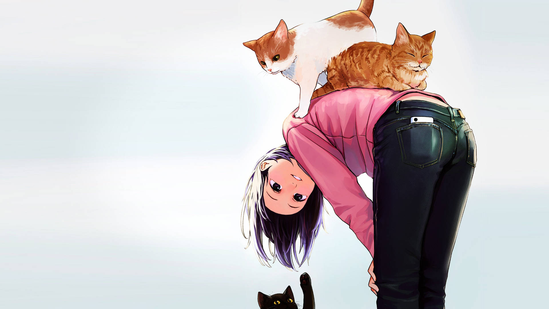 Cool Anime Cat Wallpapers