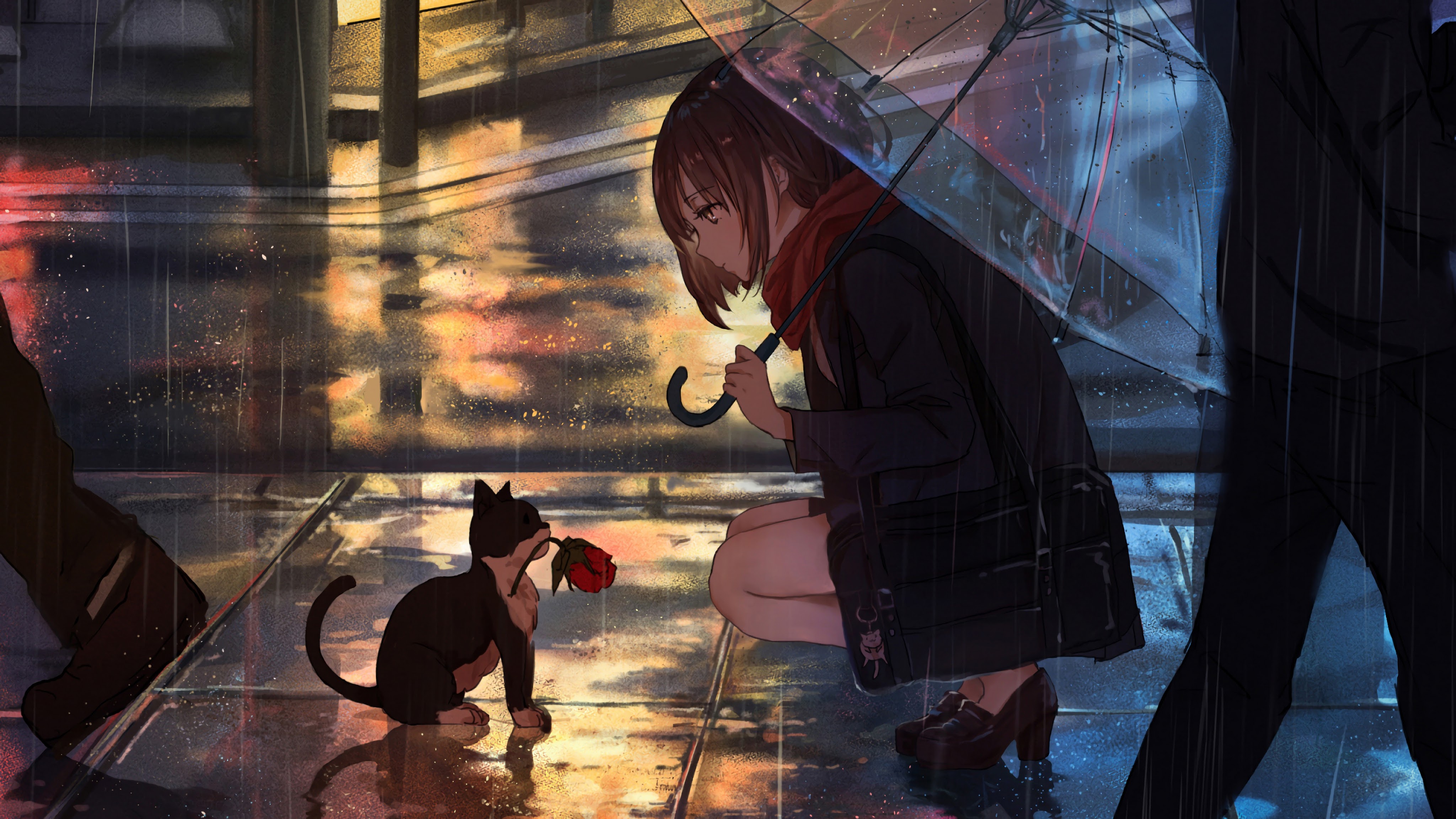 Cool Anime Cat Wallpapers