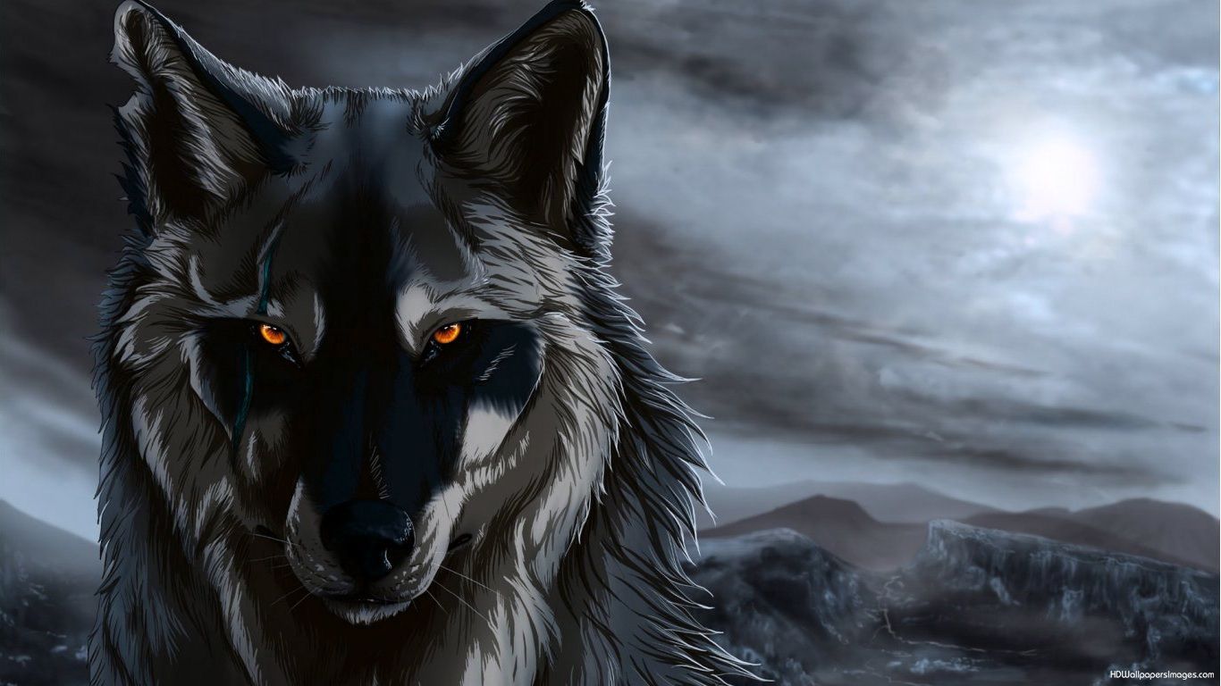 Cool Anime WolfWallpapers