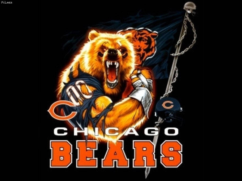 Cool Bears Wallpapers