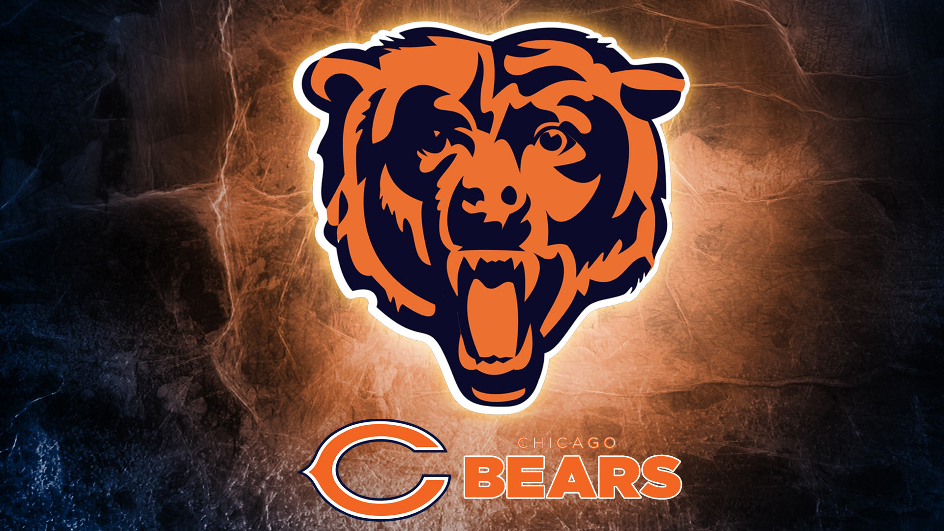 Cool Bears Wallpapers