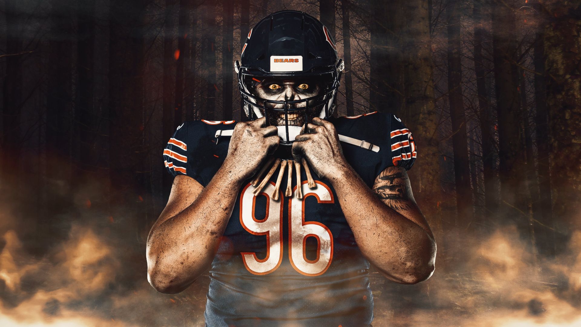 Cool Bears Wallpapers