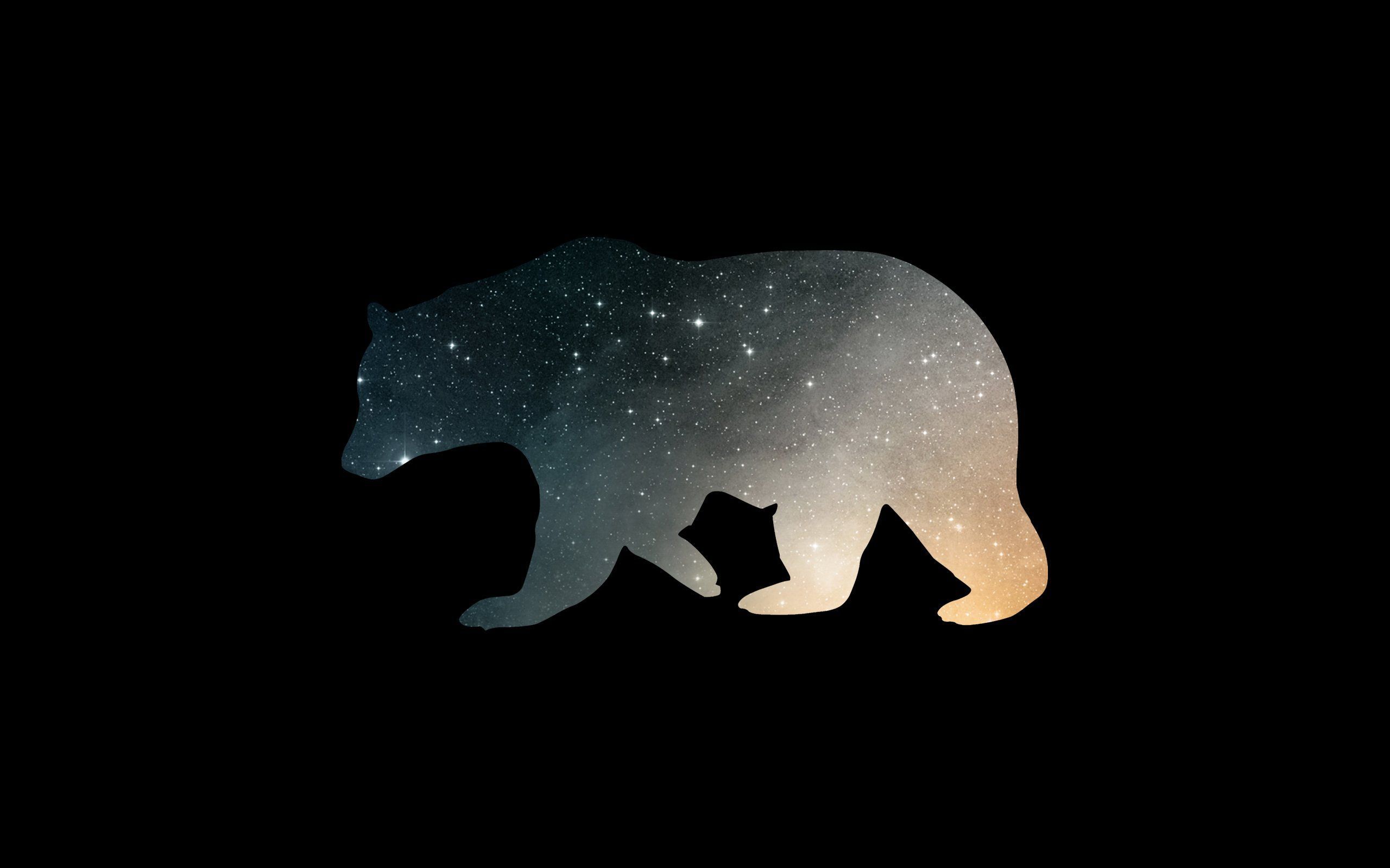 Cool Bears Wallpapers