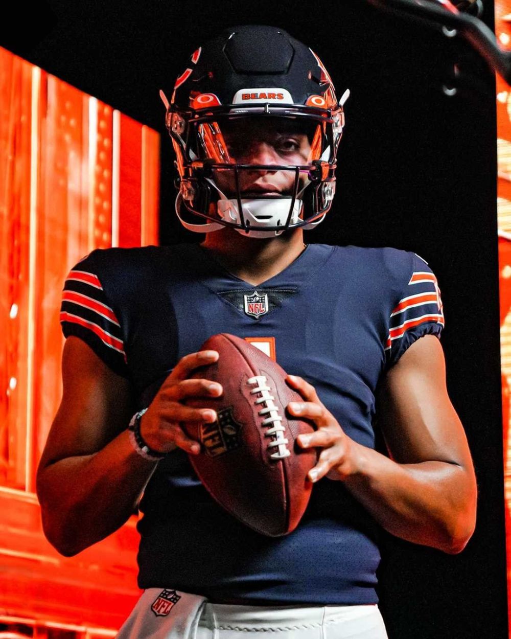 Cool Bears Wallpapers