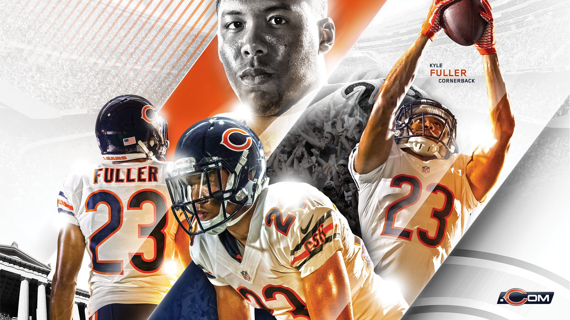 Cool Bears Wallpapers