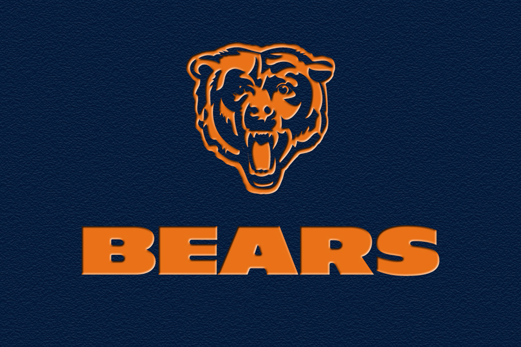 Cool Bears Wallpapers