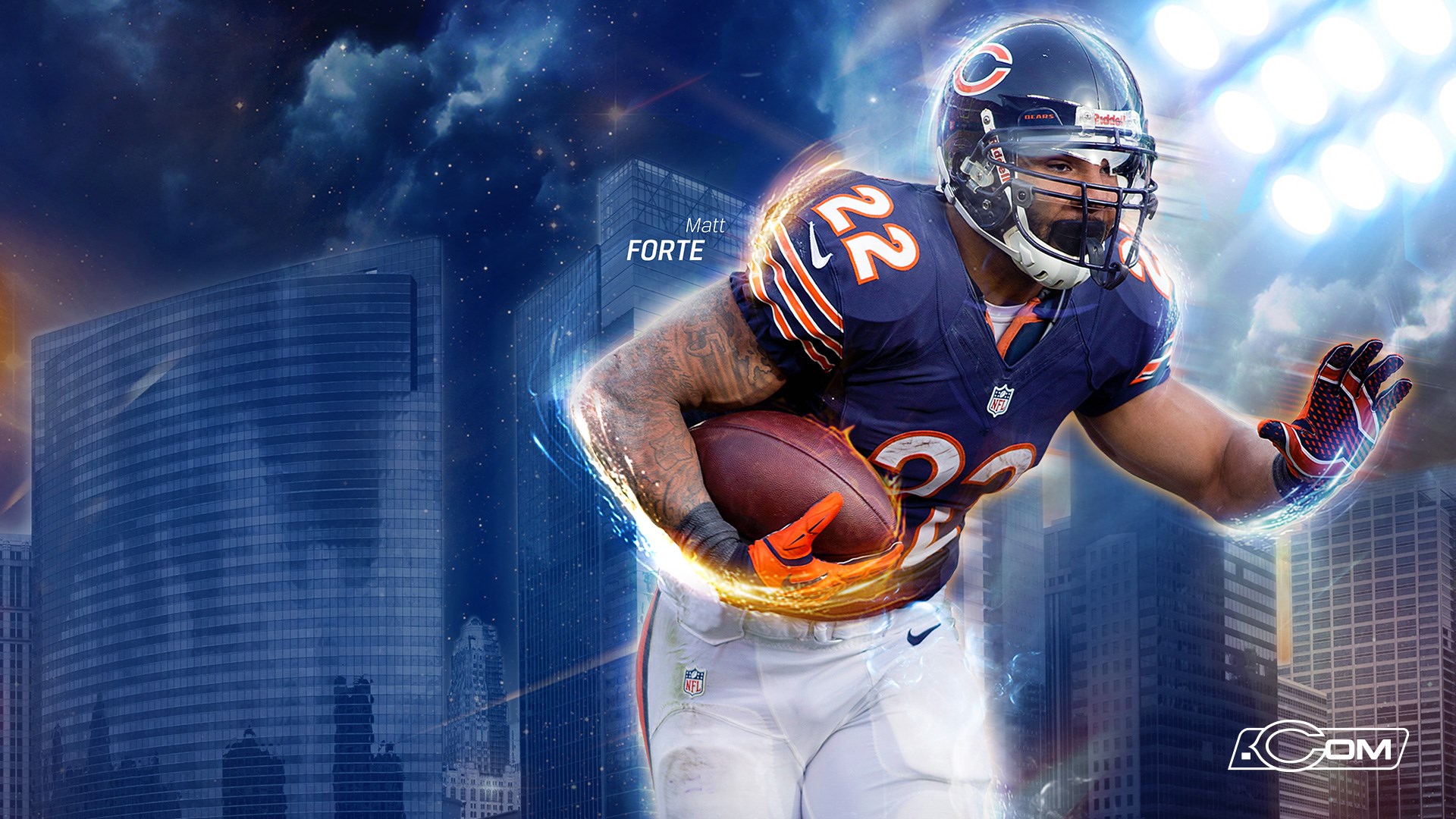 Cool Bears Wallpapers