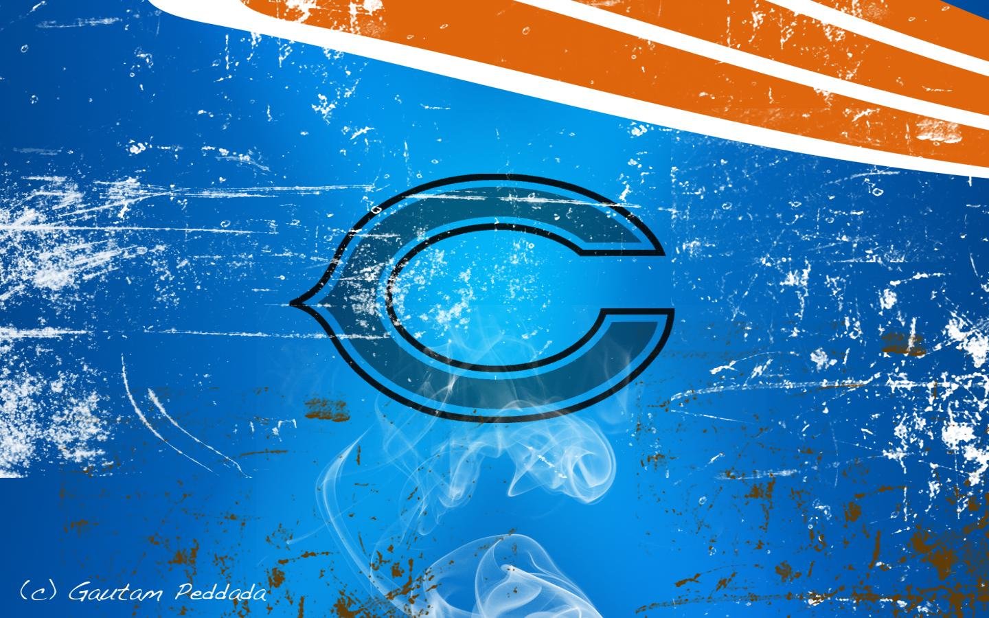 Cool Bears Wallpapers