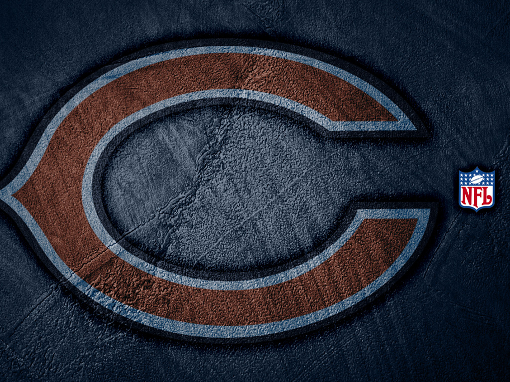 Cool Bears Wallpapers