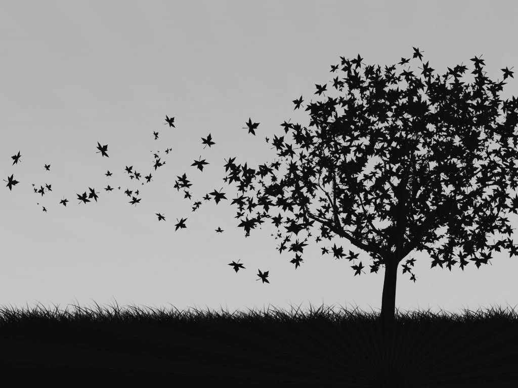 Cool Black And White Tree Wallpapers