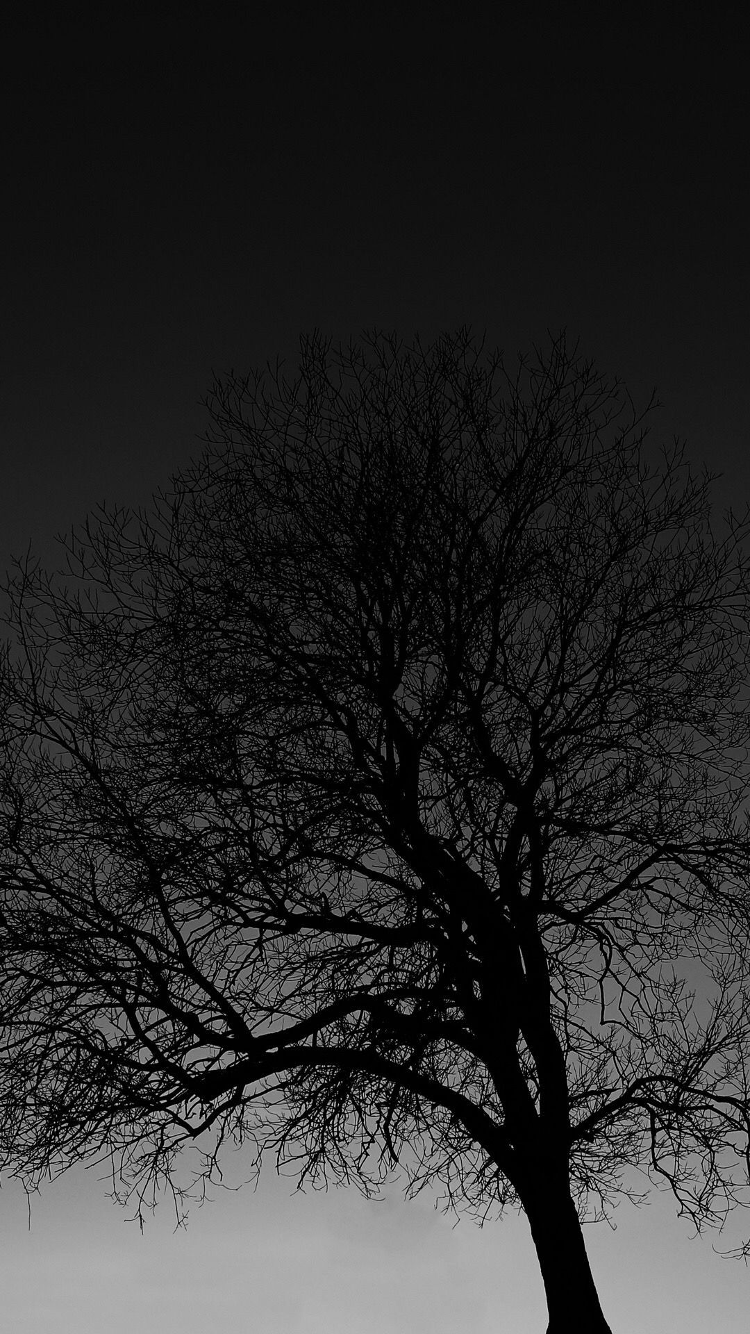 Cool Black And White Tree Wallpapers