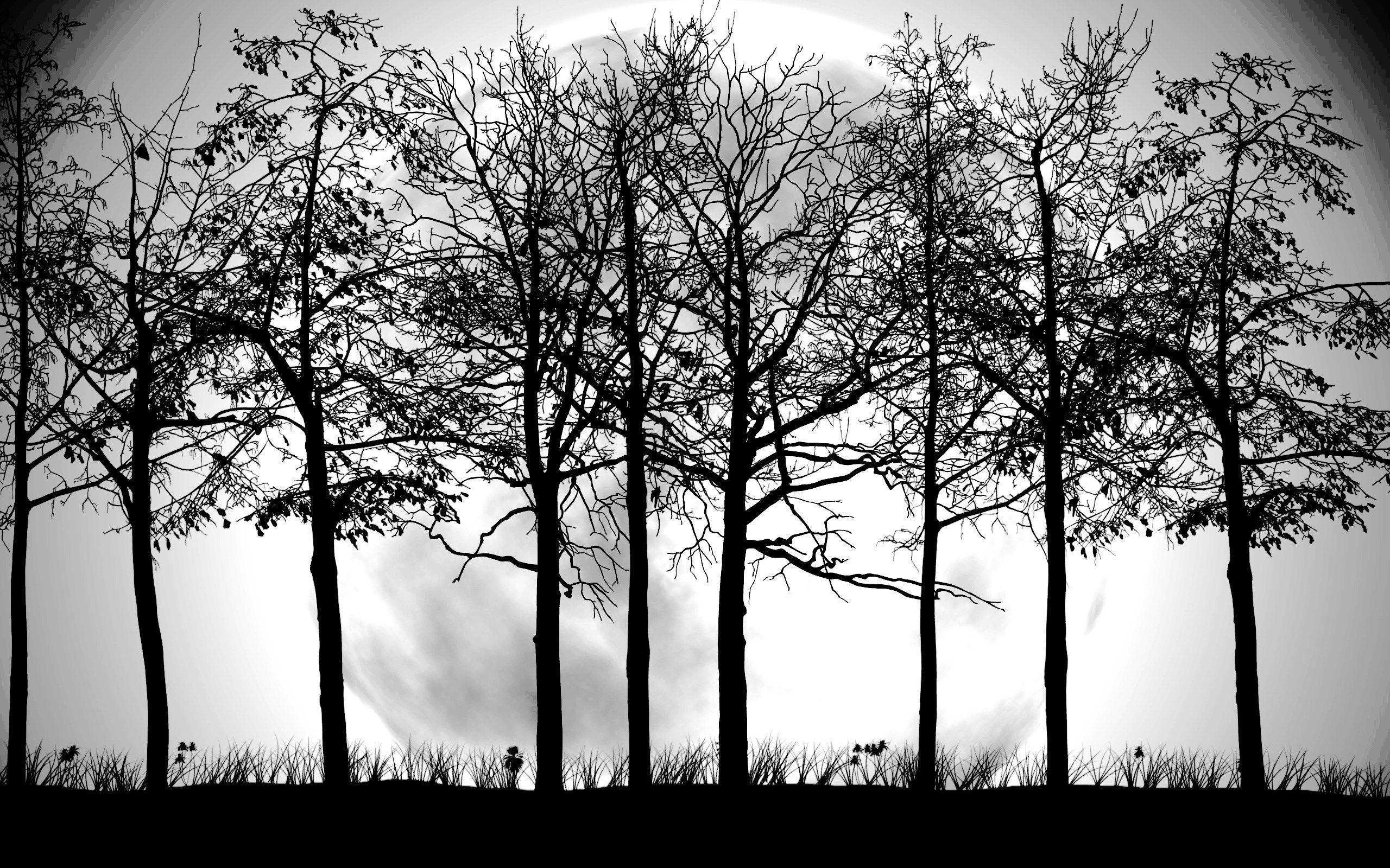 Cool Black And White Tree Wallpapers