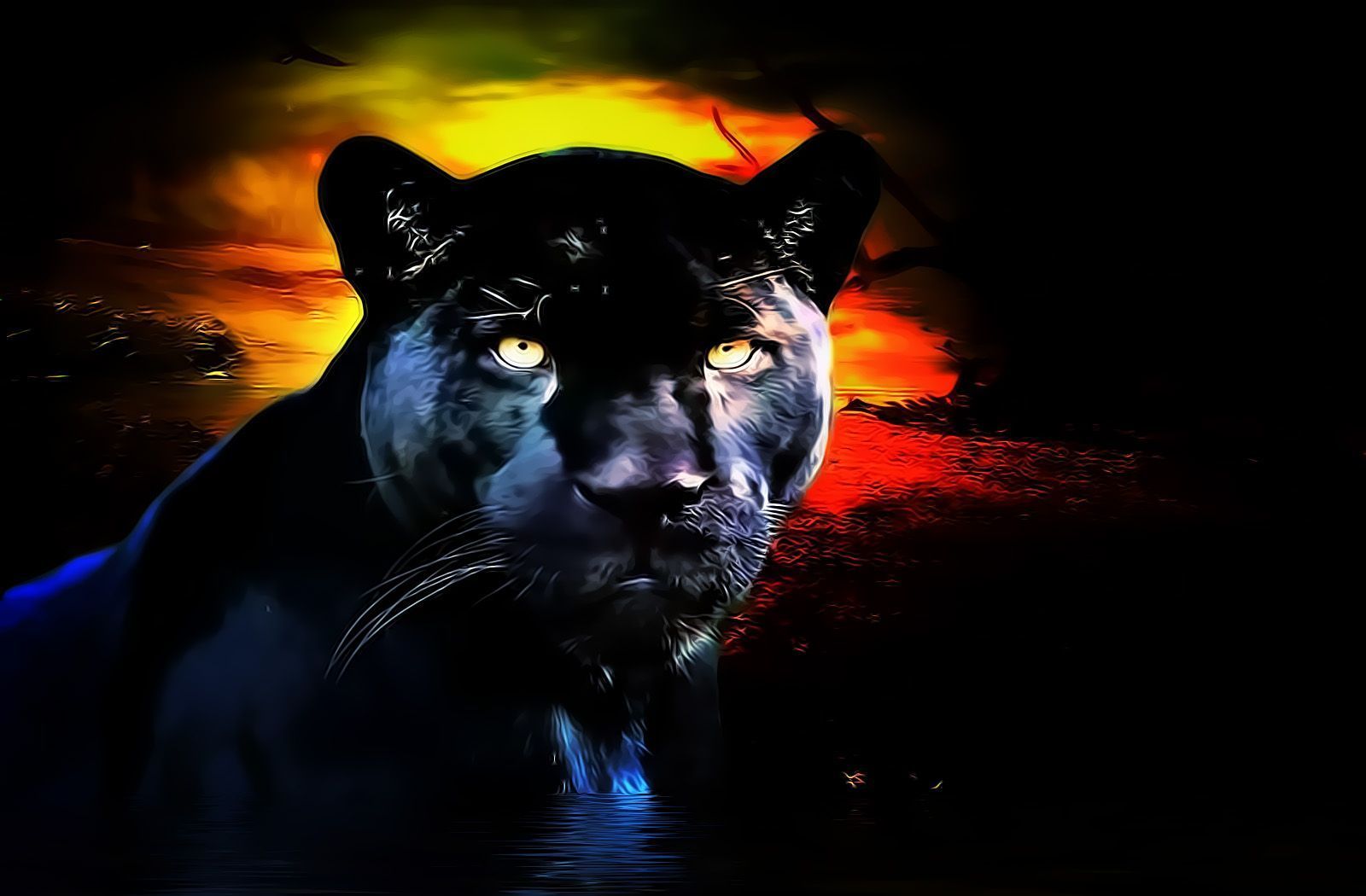 Cool Black Panther Animal Wallpapers