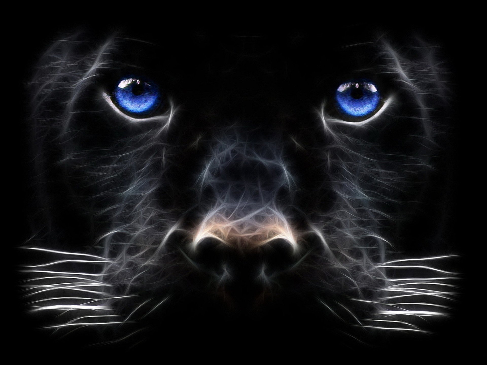 Cool Black Panther Animal Wallpapers