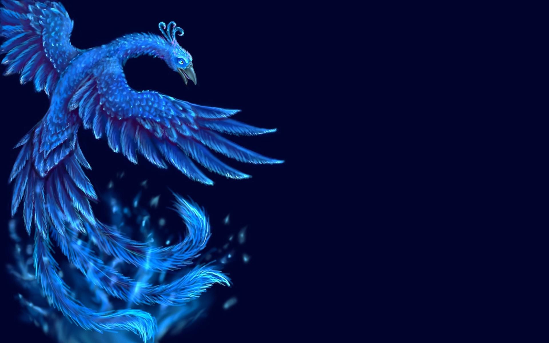 Cool Blue Phoenix Wallpapers