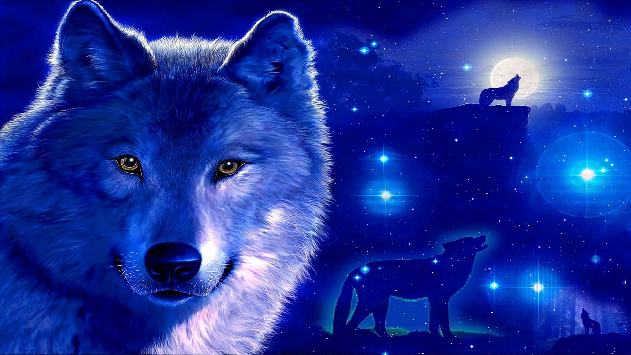 Cool Blue WolfWallpapers