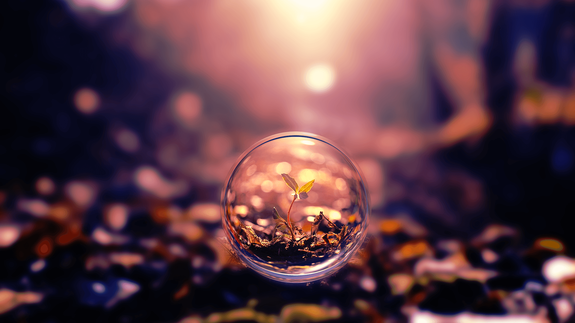 Cool Bubble Wallpapers