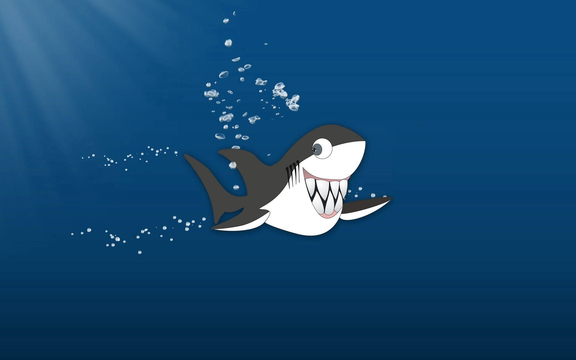 Cool Cartoon Shark Wallpapers