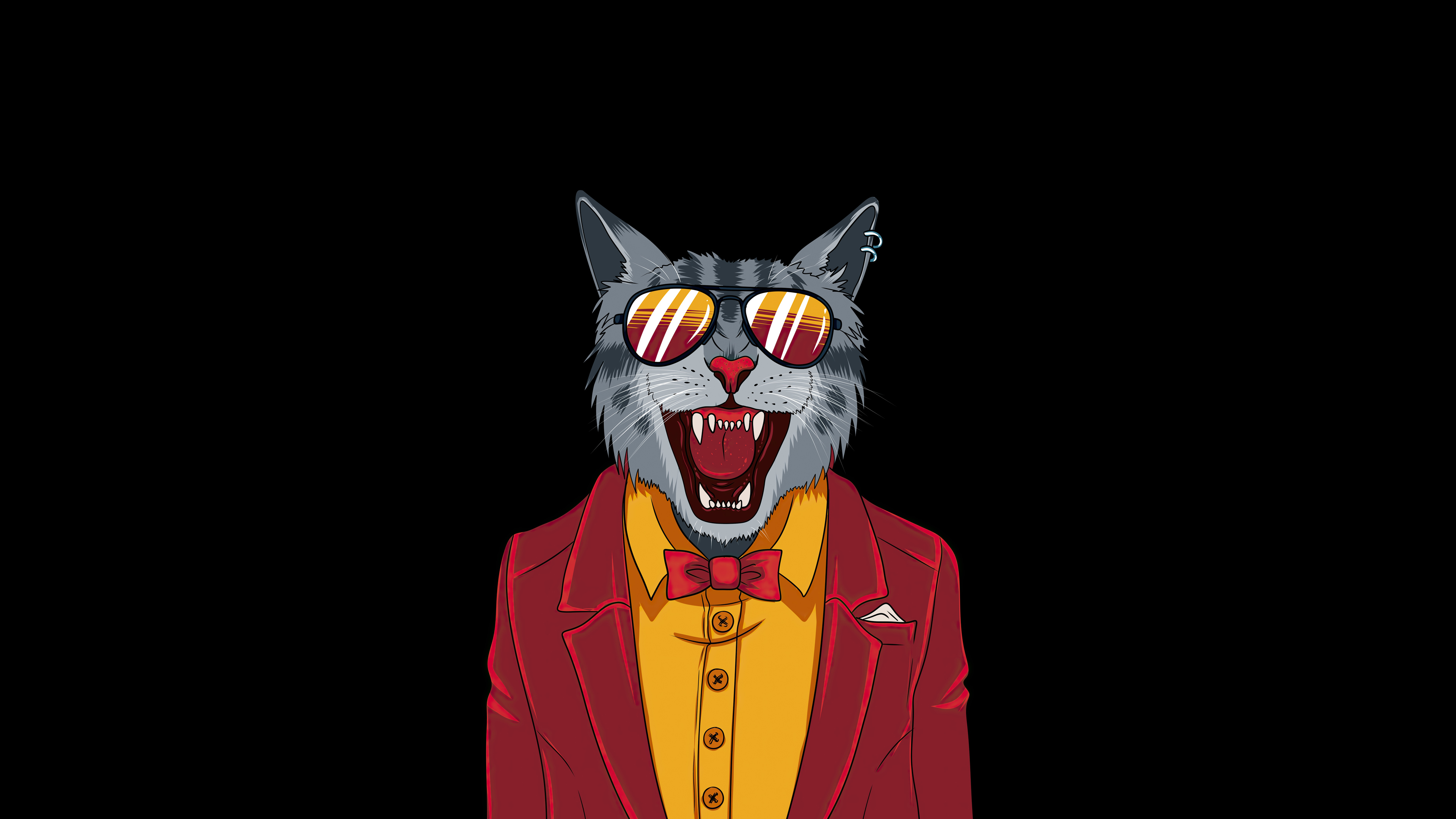 Cool Cat Wallpapers