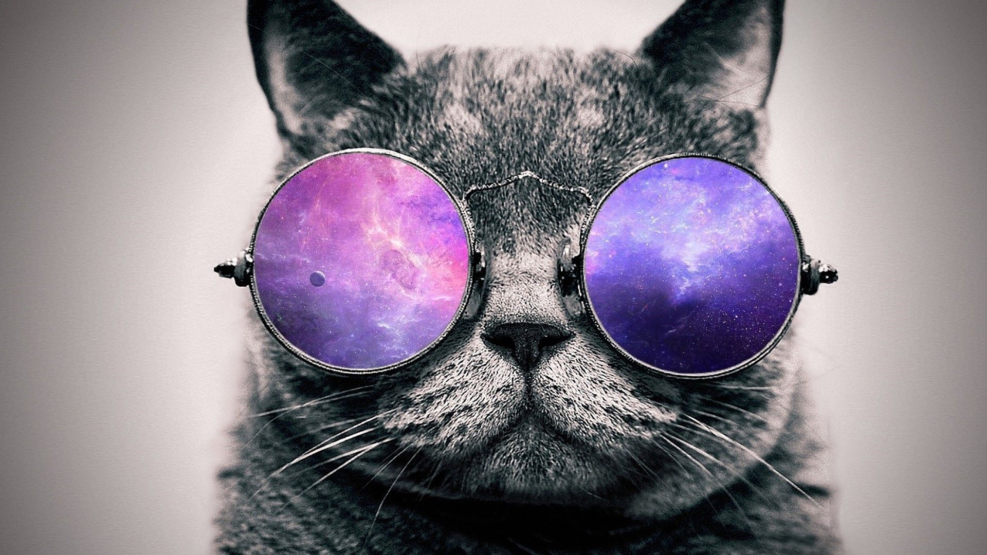 Cool Cat Desktop Wallpapers