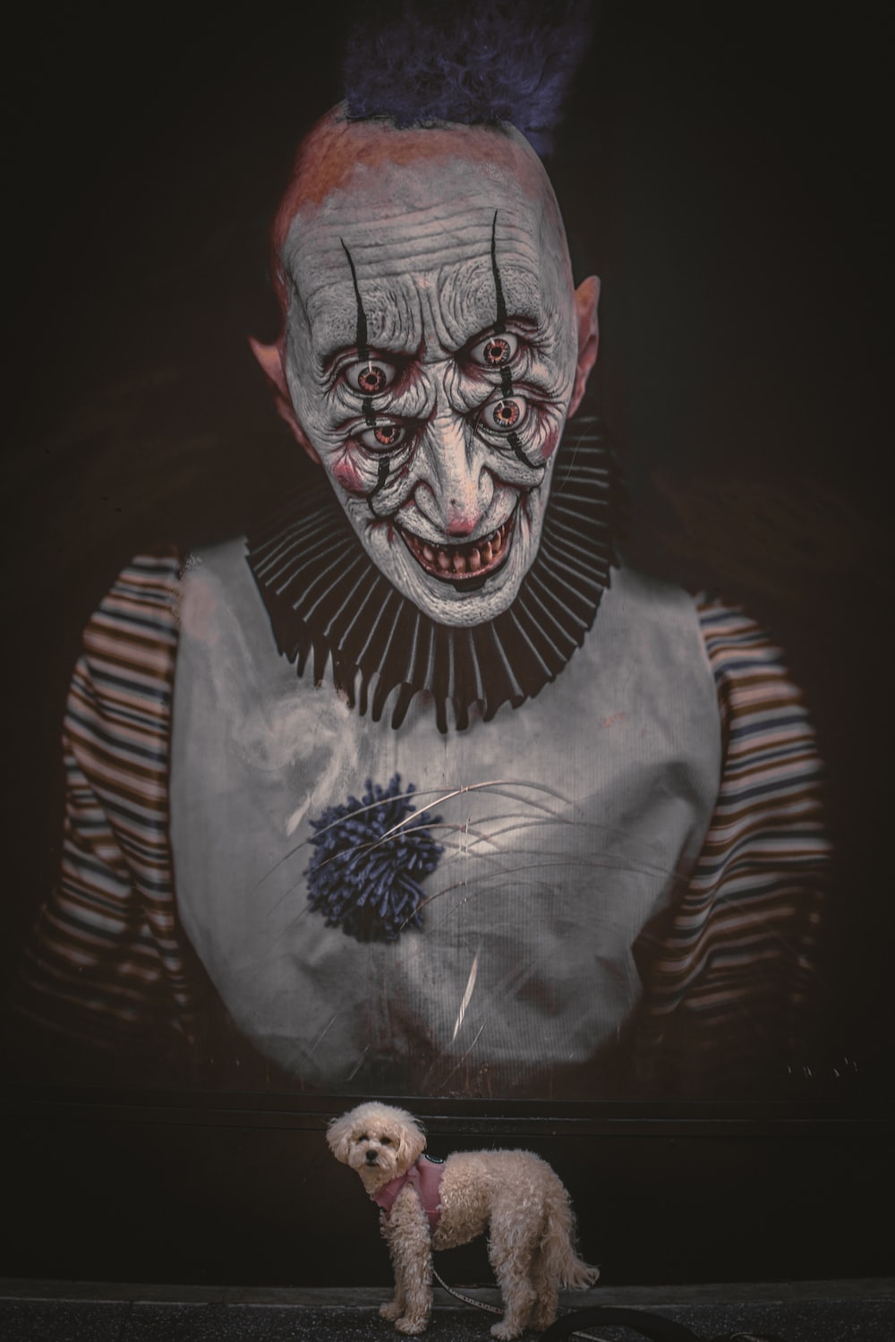 Cool Clown Wallpapers