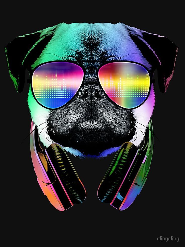 Cool Dog Wallpapers