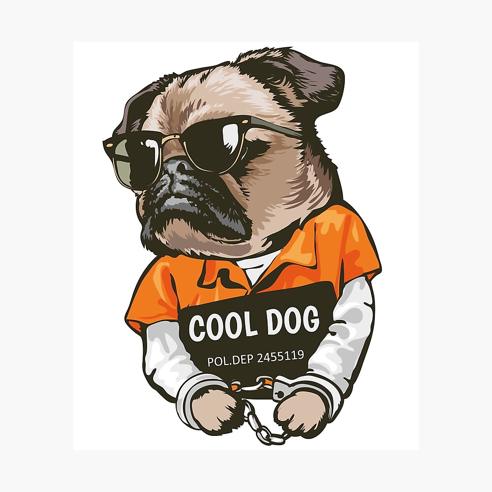 Cool Dog Wallpapers