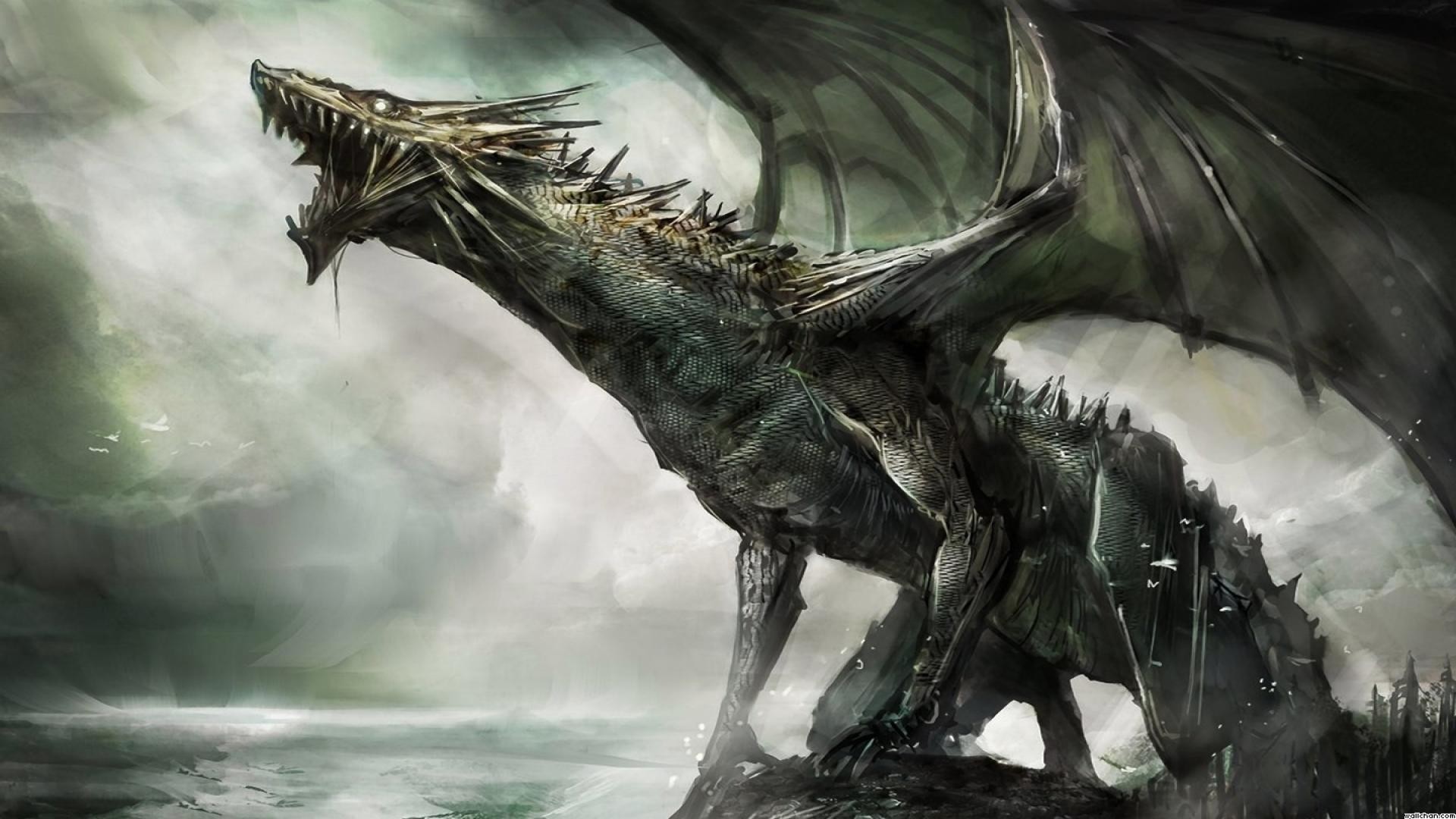 Cool Dragon Wallpaper Designs Wallpapers