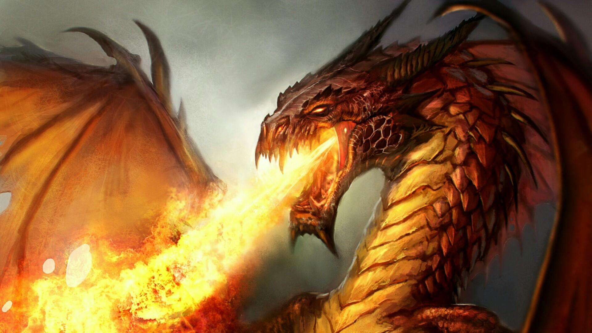 Cool Fire Dragon Wallpapers