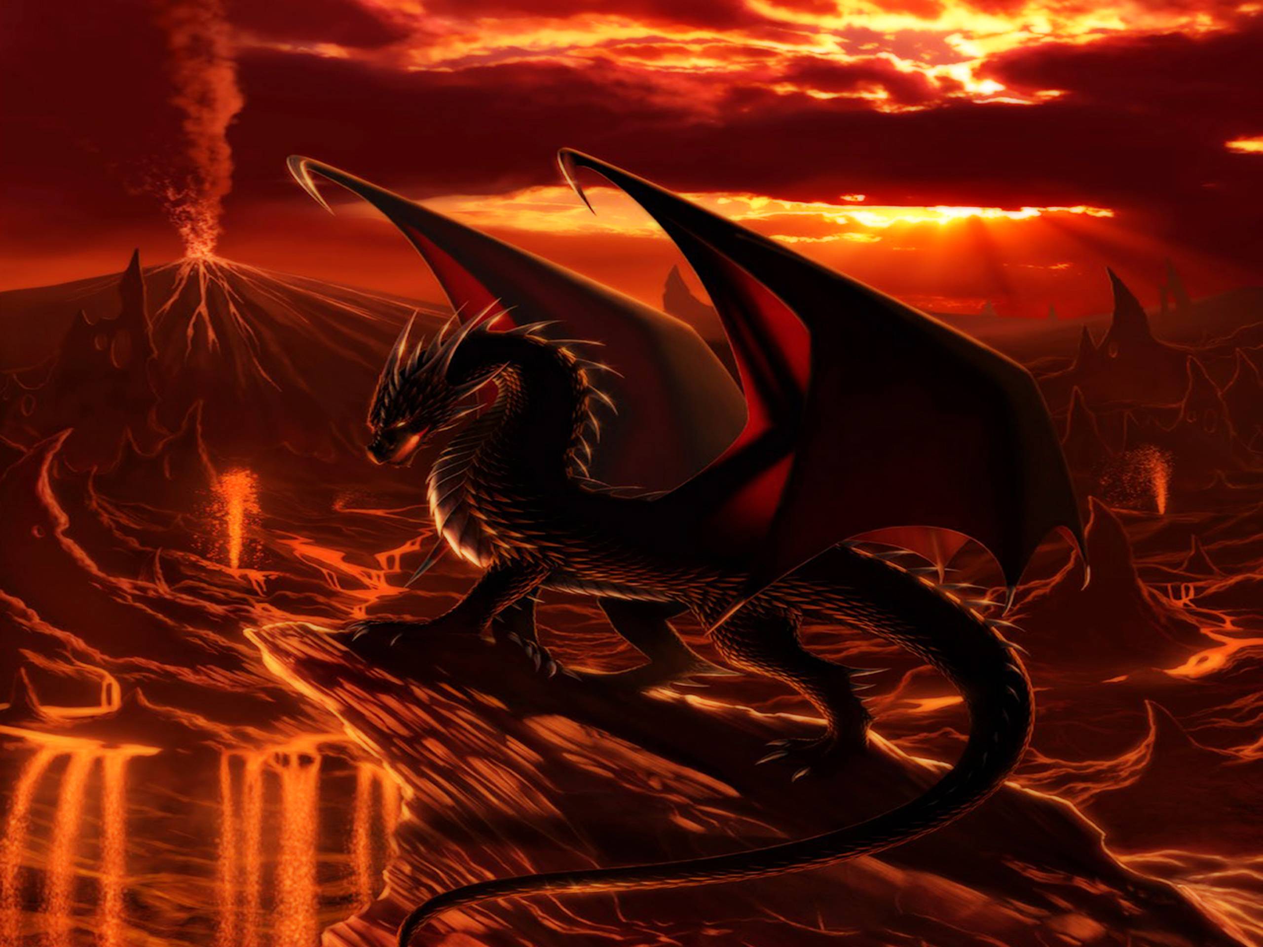 Cool Fire Dragon Wallpapers