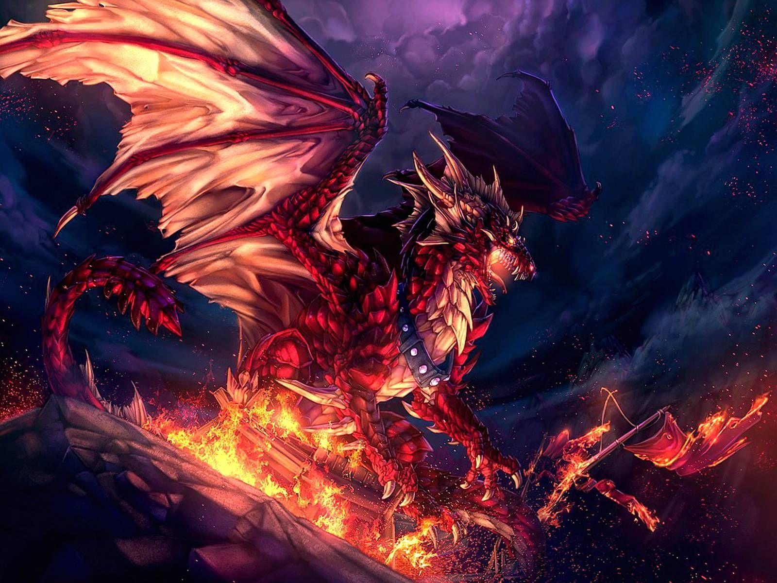 Cool Fire Dragon Wallpapers