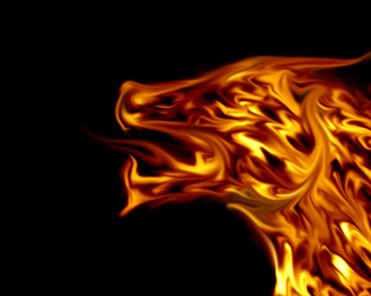 Cool Fire Dragon Wallpapers