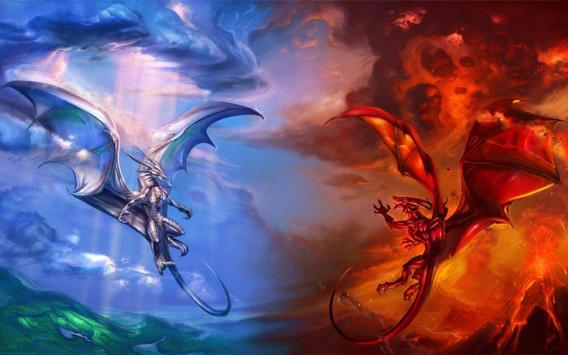 Cool Fire Dragon Wallpapers