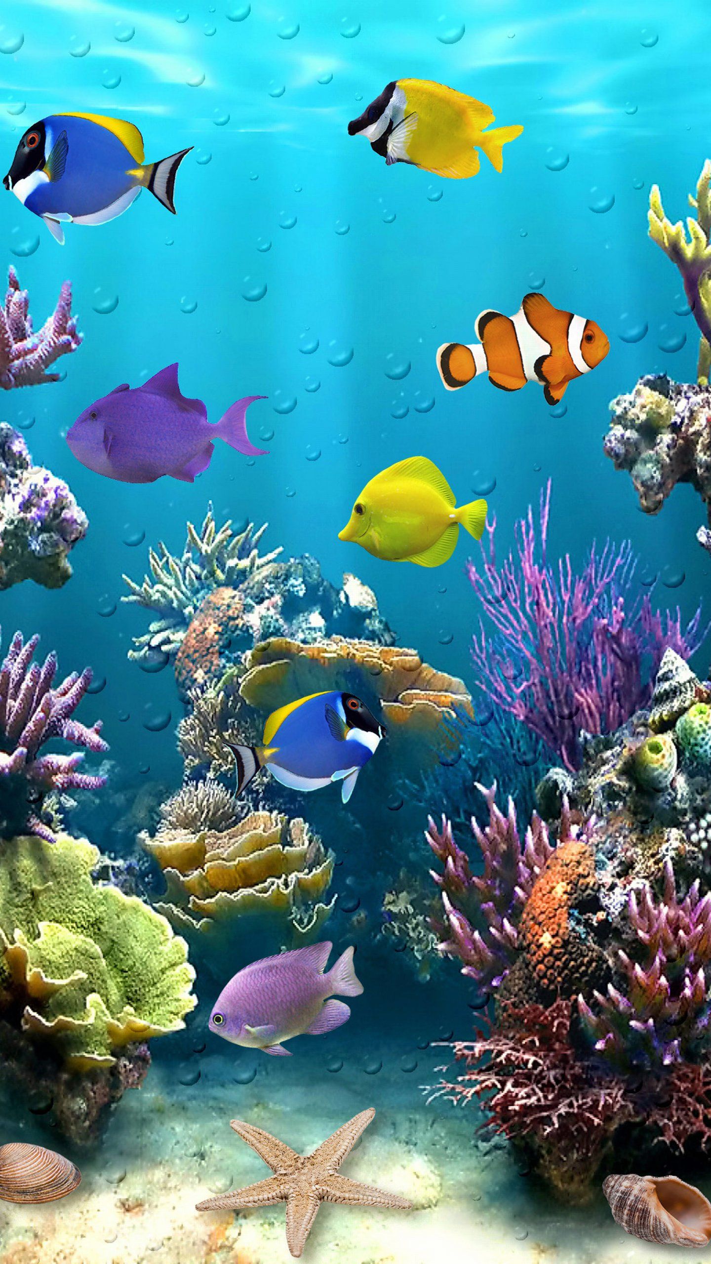 Cool Fish Wallpapers