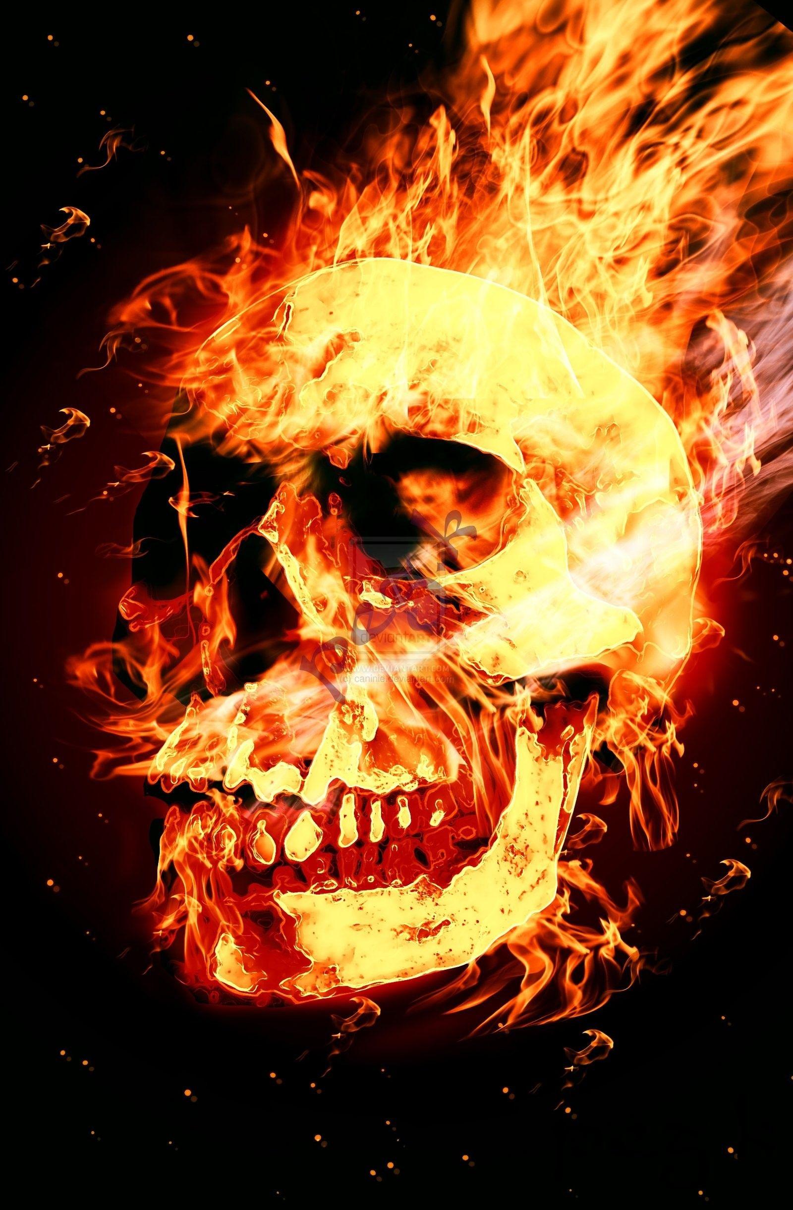 Cool Flaming SkullWallpapers