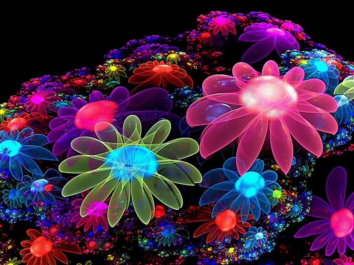 Cool FlowerWallpapers