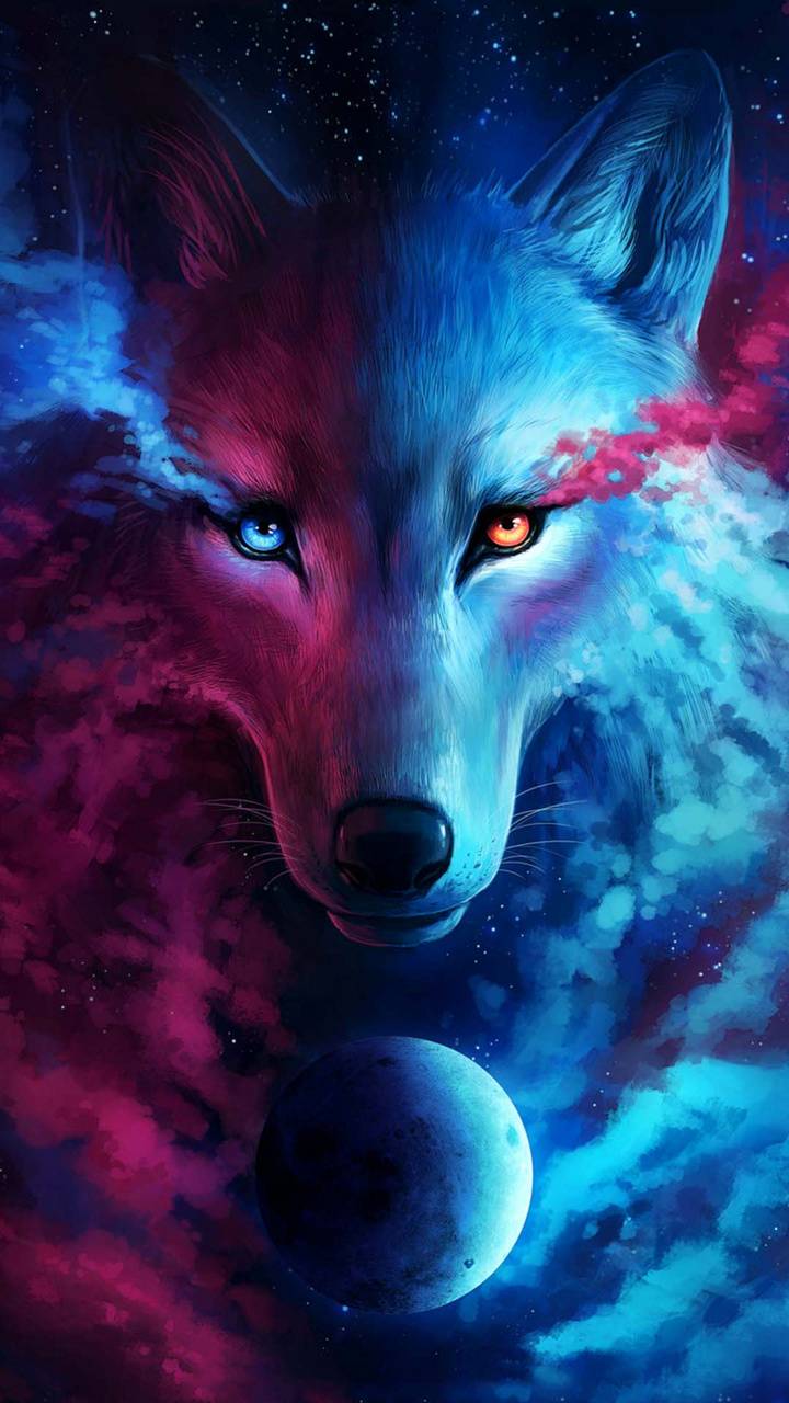 Cool Fox  Wallpapers