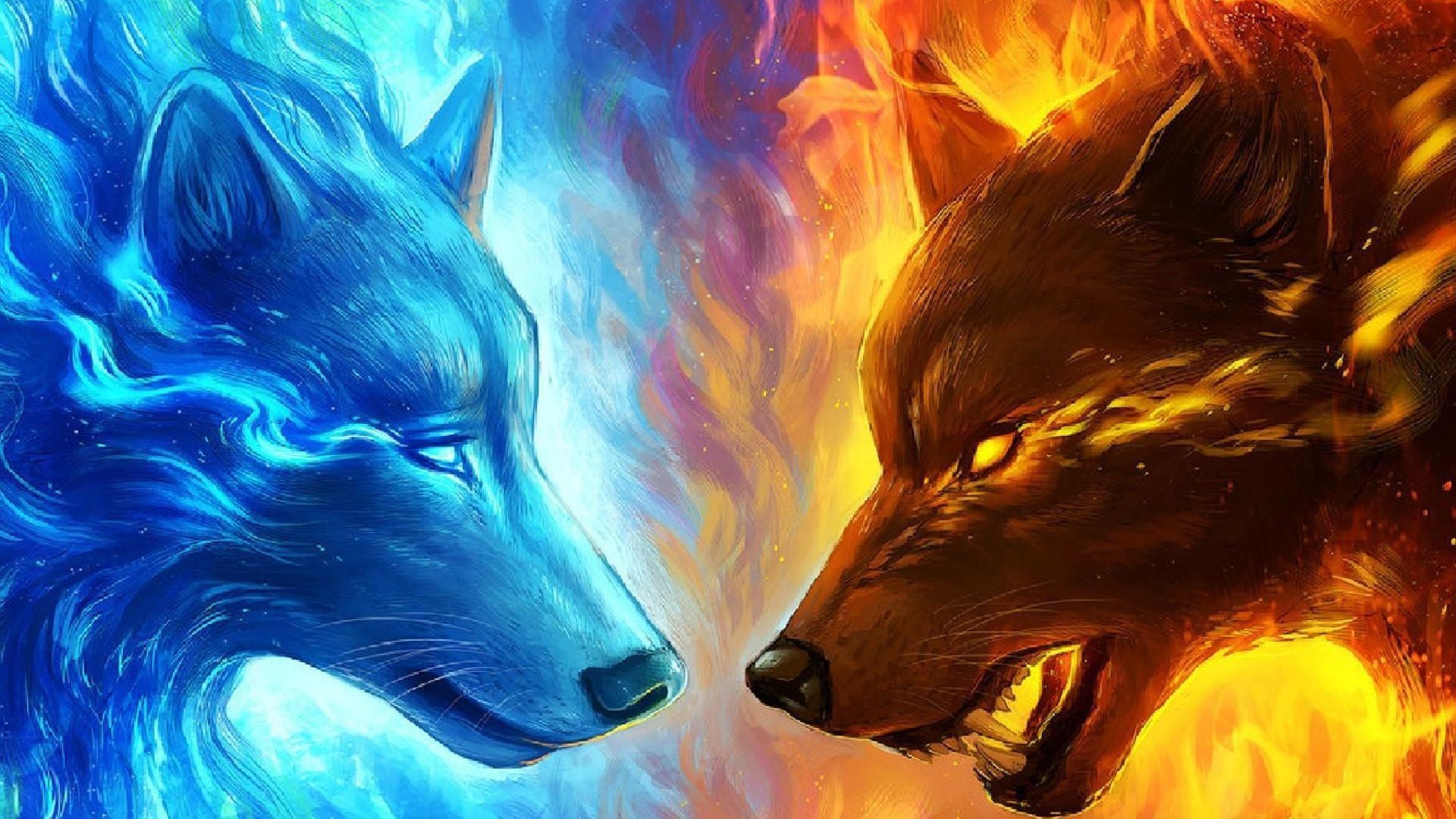 Cool Fox  Wallpapers