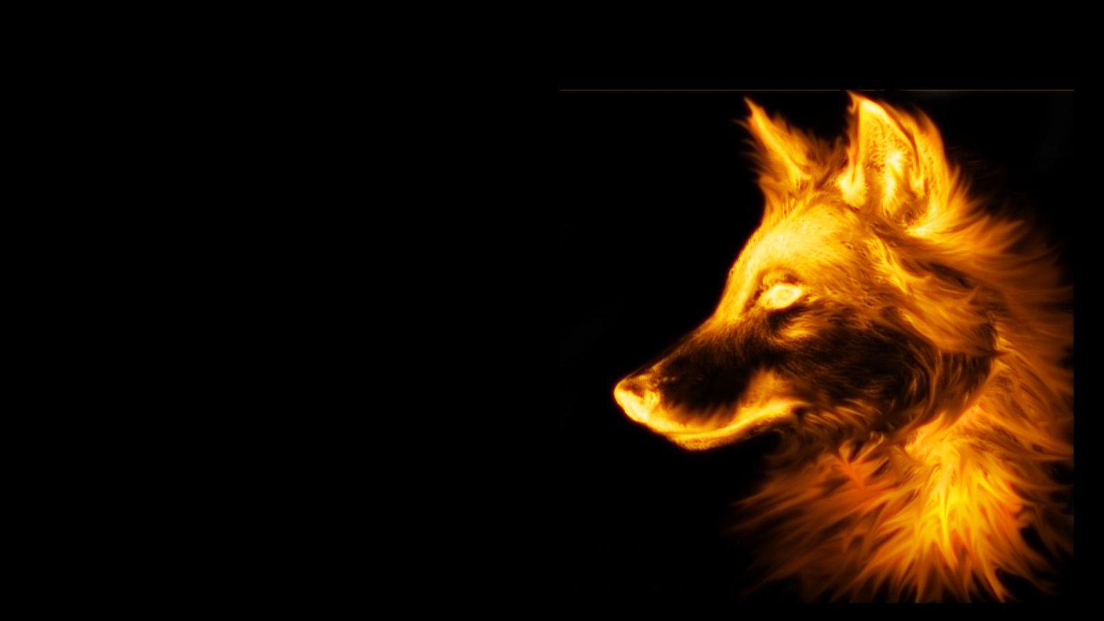 Cool FoxWallpapers