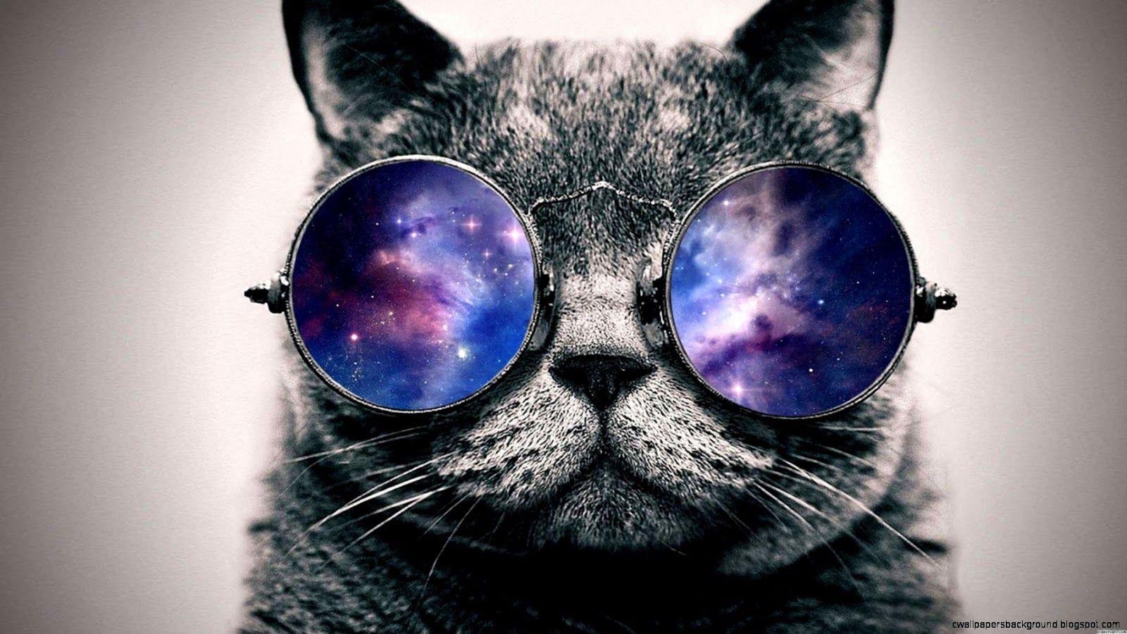 Cool Galaxy Cat Wallpapers