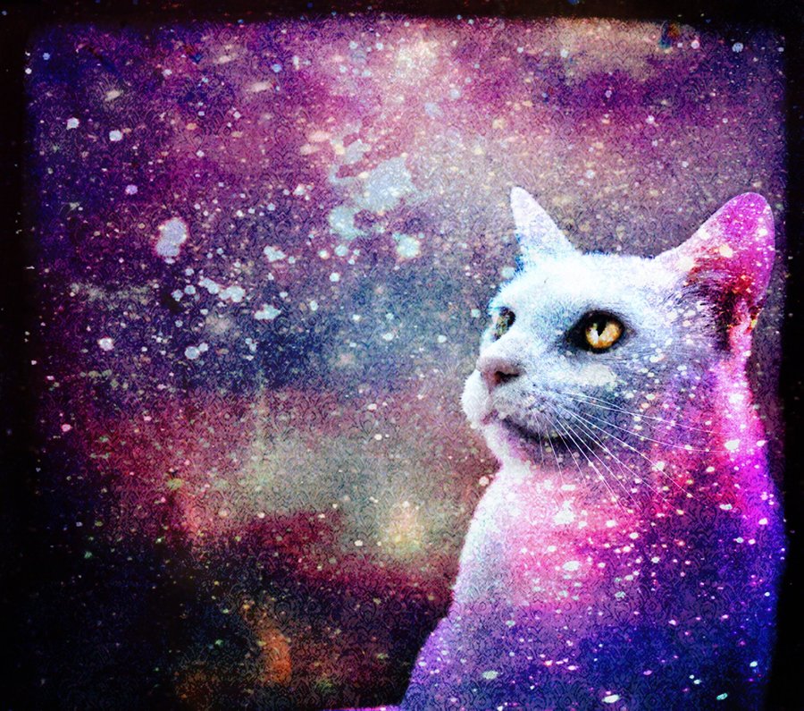 Cool Galaxy Cat Wallpapers