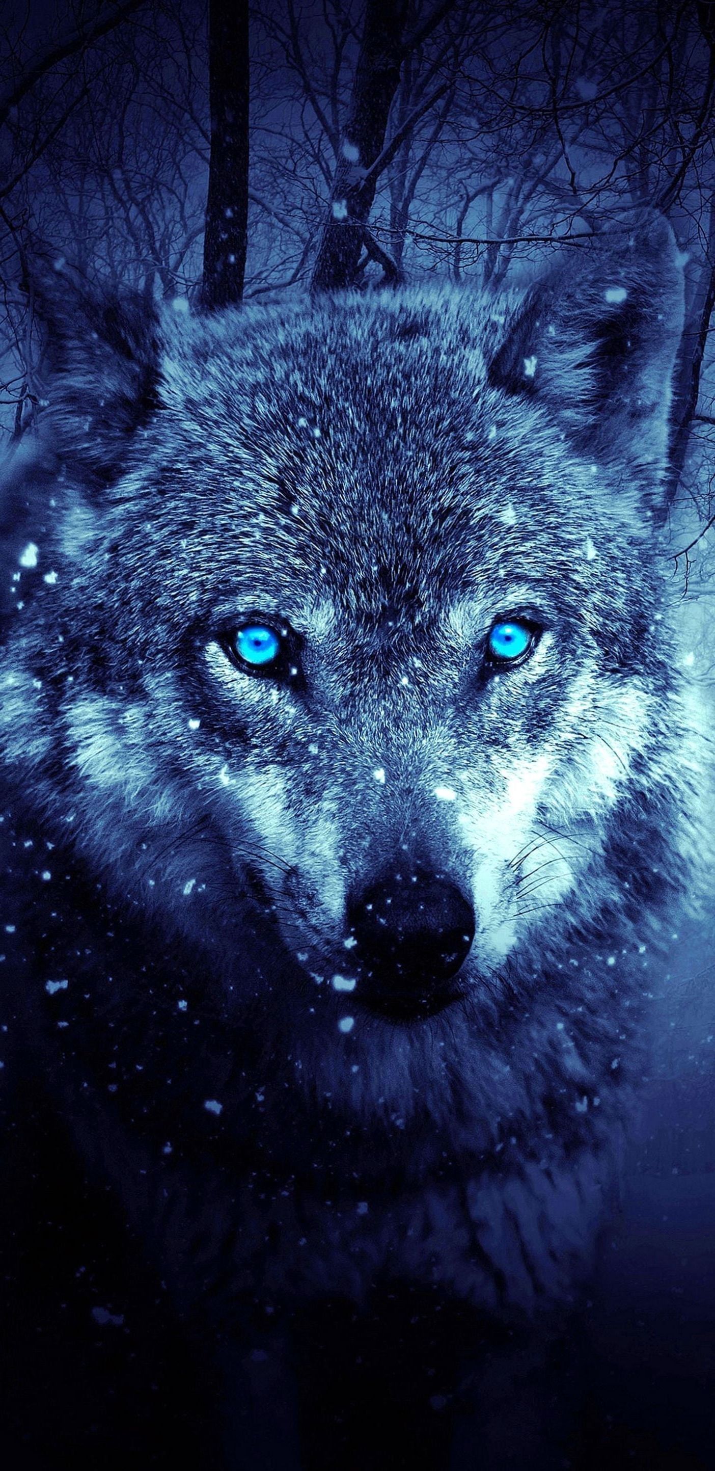 Cool Galaxy WolvesWallpapers